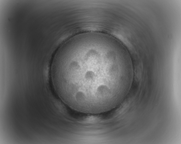 X0000089670111200707051555