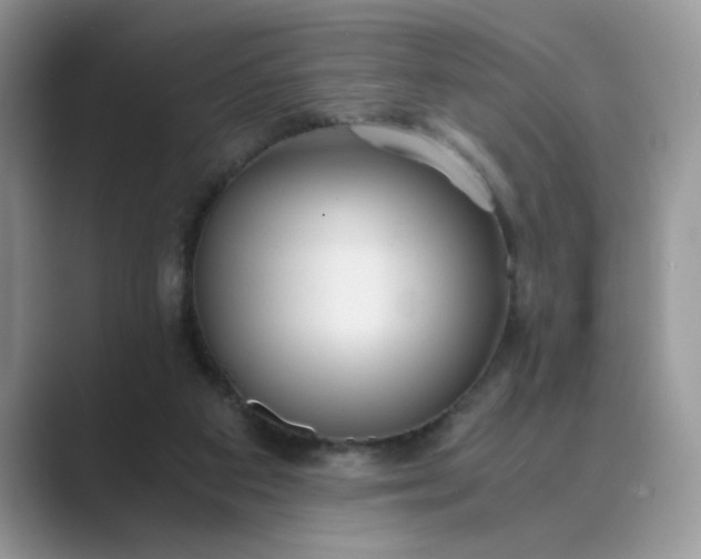 X0000089670113200707051555