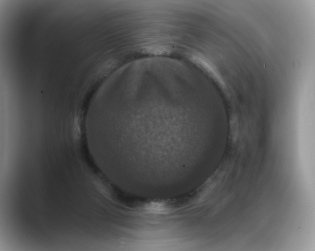 X0000089670114200707051555