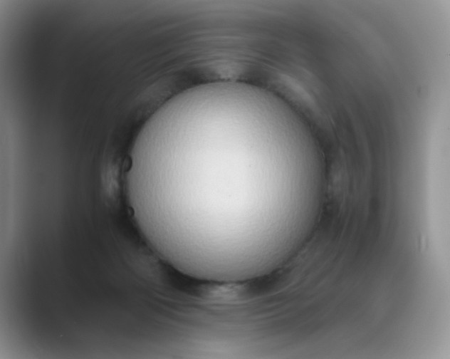 X0000089670122200707051555