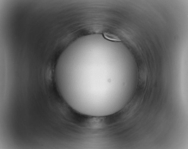 X0000089670126200707051555