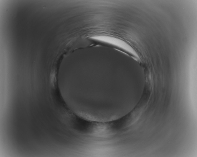 X0000089670127200707051555