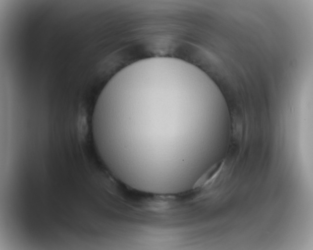 X0000089670128200707051555