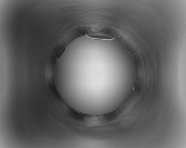 X0000089670129200707051555