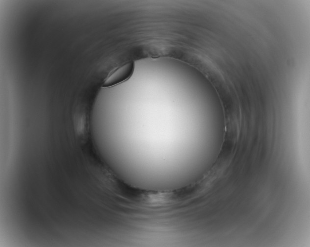 X0000089670134200707051555