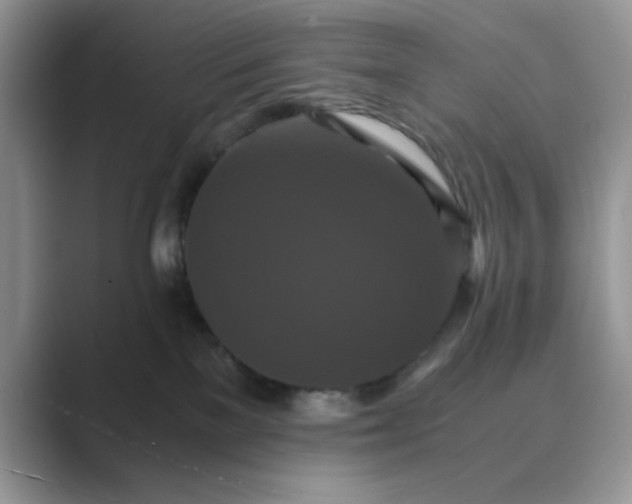X0000089670137200707051555