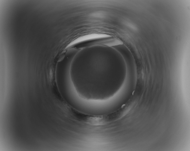 X0000089670139200707051555