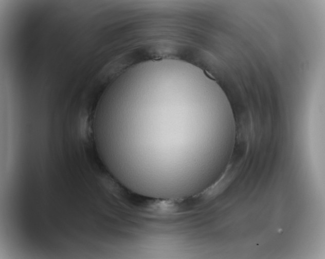 X0000089670140200707051555
