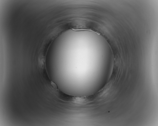 X0000089670141200707051555