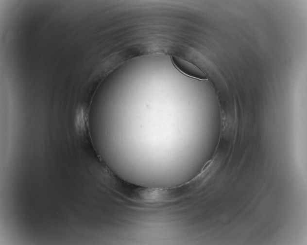 X0000089670142200707051555