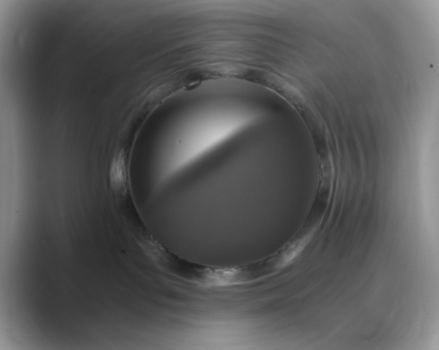 X0000089670143200707051555