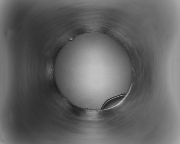 X0000089670144200707051555