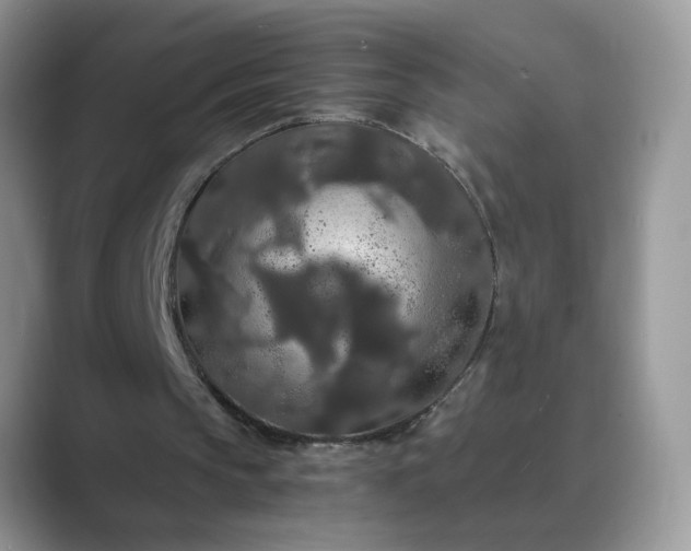 X0000089670145200707051554