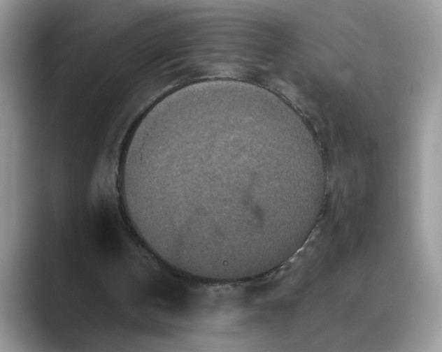 X0000089670146200707051554