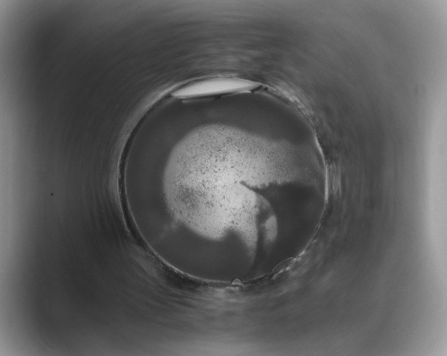 X0000089670147200707051554