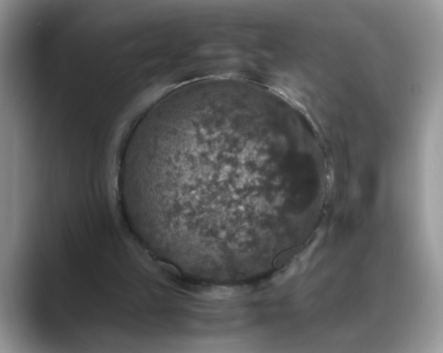 X0000089670149200707051554