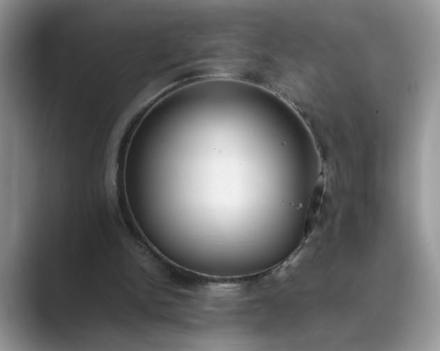 X0000089670150200707051554