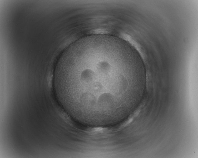 X0000089670153200707051555