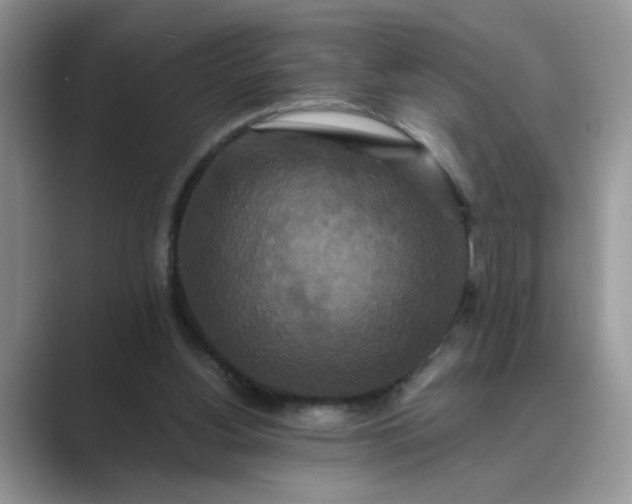 X0000089670156200707051555