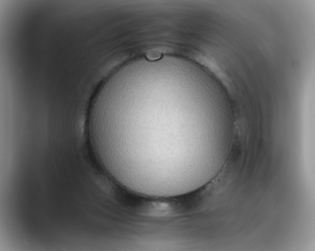 X0000089670159200707051555