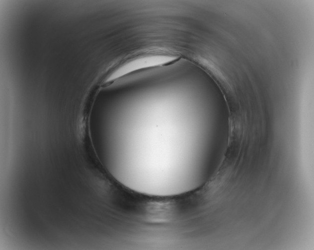 X0000089670160200707051555