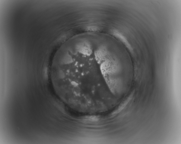 X0000089670161200707051555
