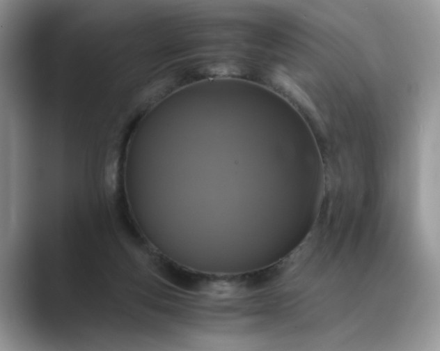 X0000089670163200707051555
