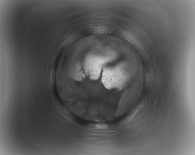X0000089670165200707051555