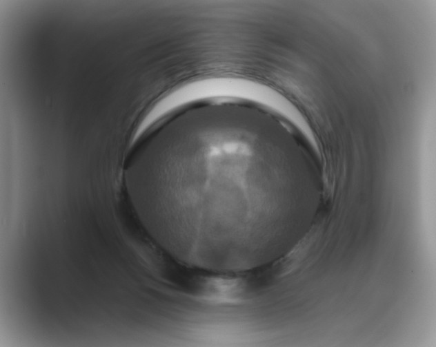X0000089670168200707051555