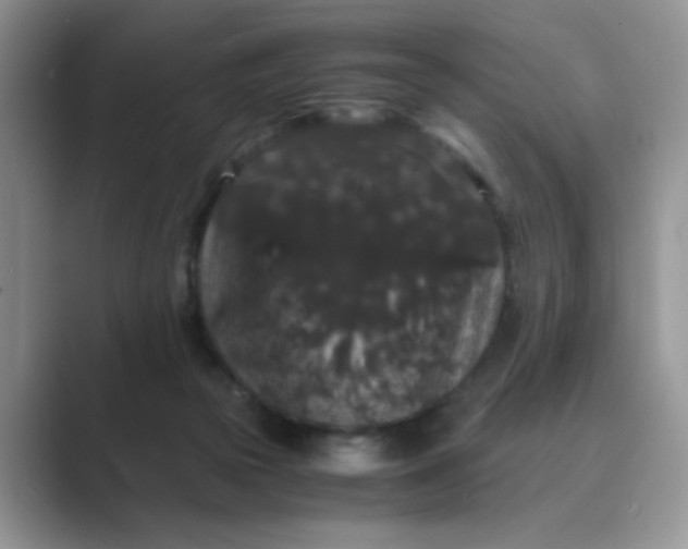 X0000089670169200707051555