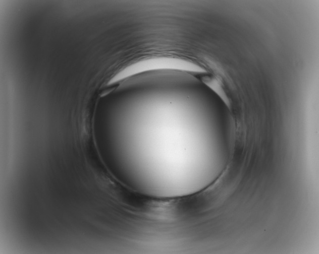X0000089670170200707051555