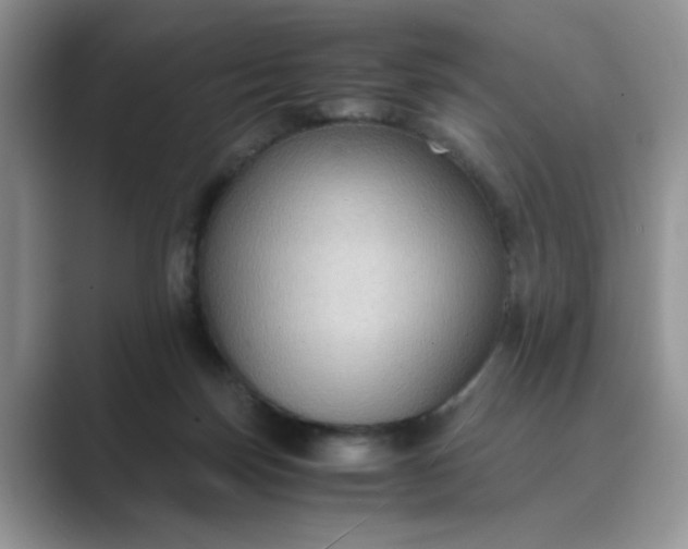 X0000089670171200707051555