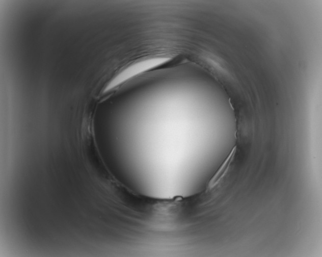 X0000089670172200707051555