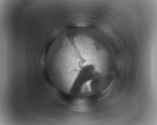 X0000089670175200707051555