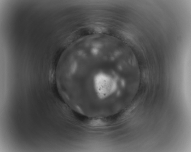 X0000089670177200707051555