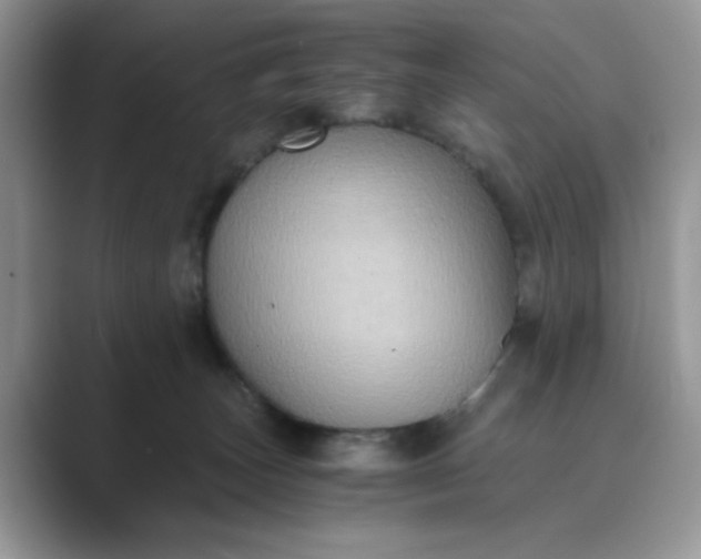 X0000089670179200707051555