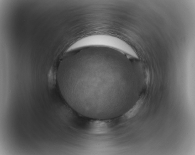 X0000089670180200707051555