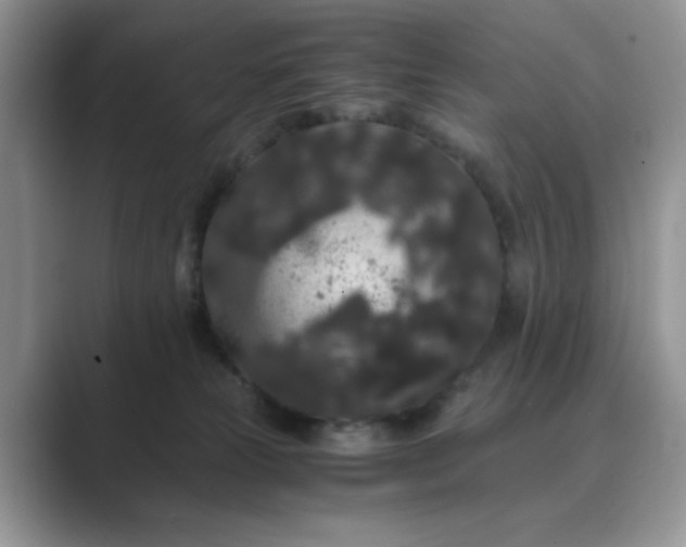 X0000089670181200707051555