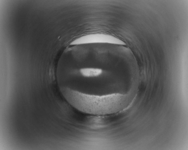 X0000089670182200707051555