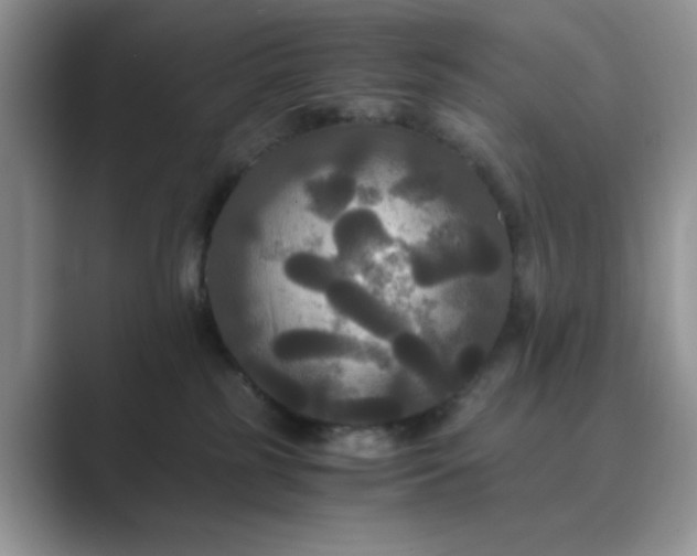 X0000089670185200707051555