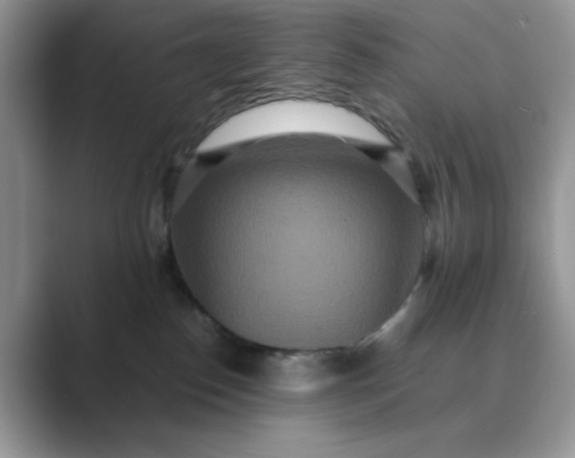 X0000089670186200707051555