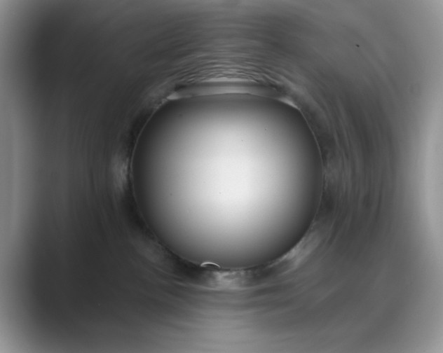 X0000089670188200707051555