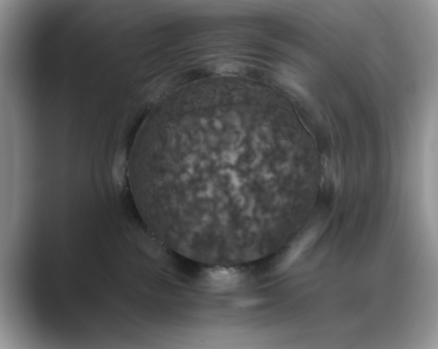 X0000089670189200707051555