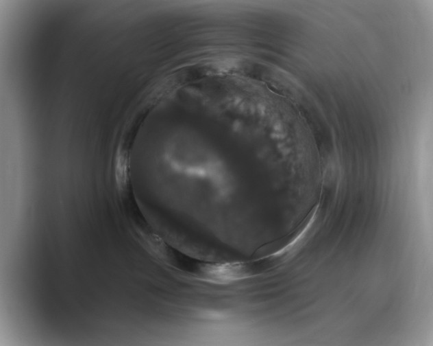 X0000089670191200707051555