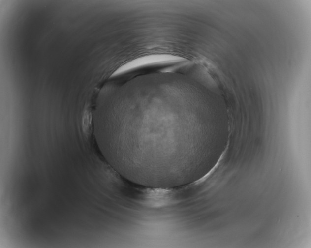 X0000089670192200707051555