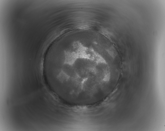 X0000089670194200707051554