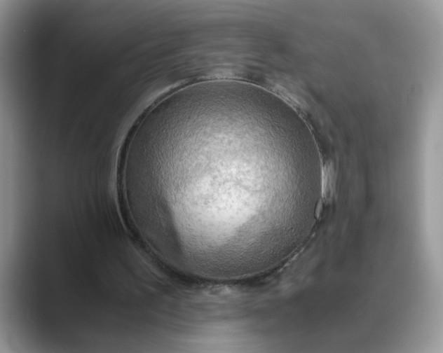 X0000089670195200707051554