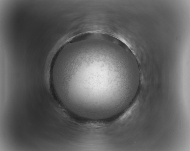 X0000089670199200707051554