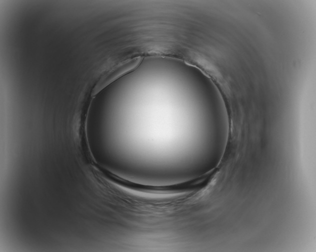 X0000089670201200707051554