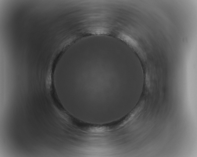 X0000089670202200707051554